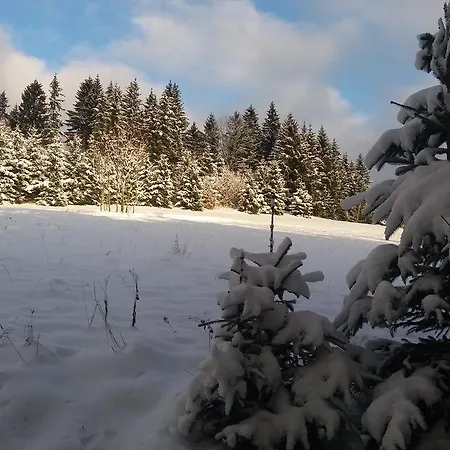 Chata Na Konci Sveta * Destne v Orlickych horach