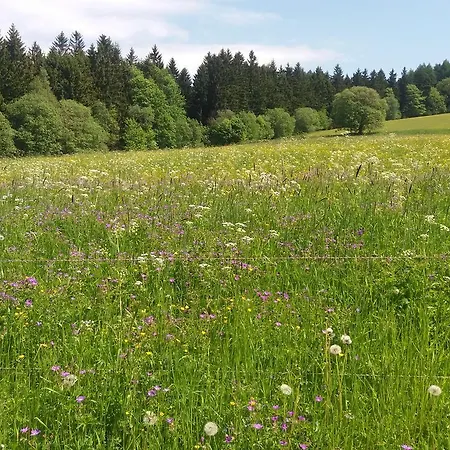 Chata Na Konci Sveta Destne v Orlickych horach